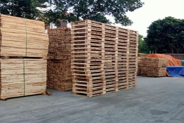 Cung Cấp Pallet Chất Lượng Cao Tại KCN Nam Cầu Kiền, Hải Phòng